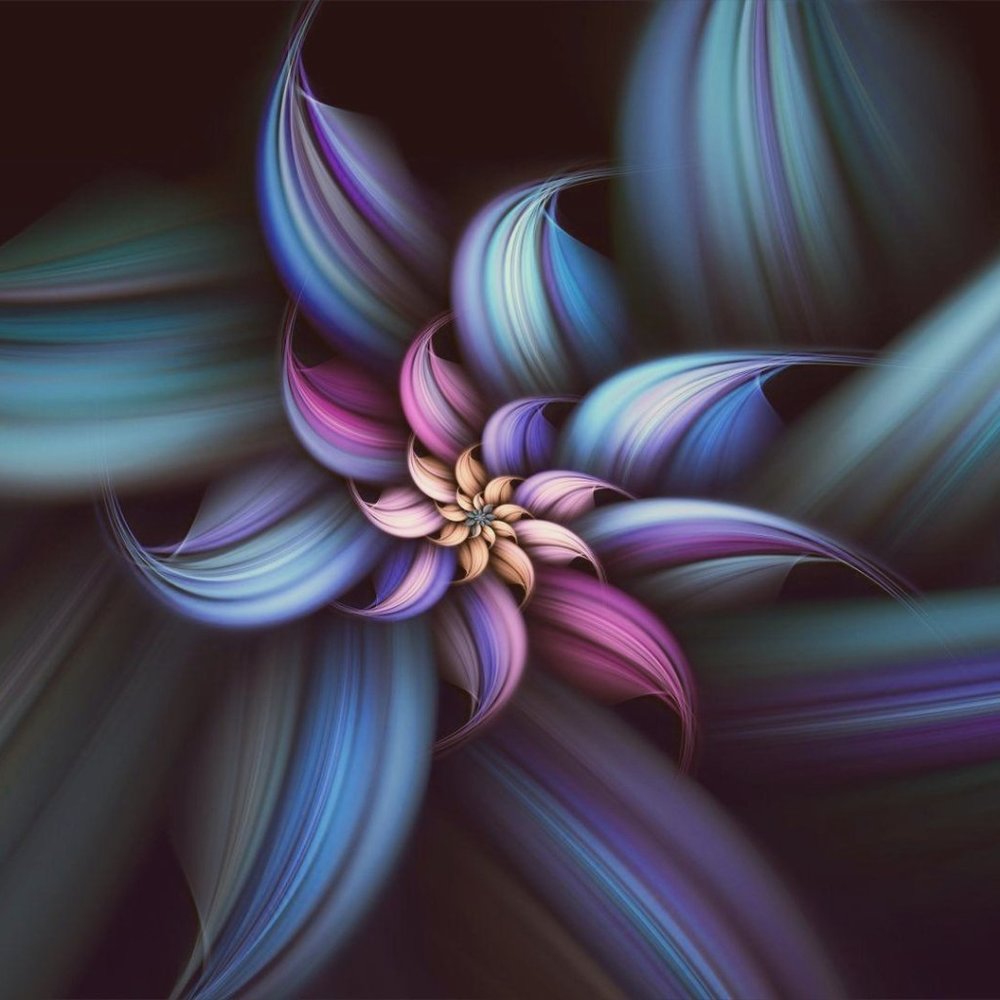 Meet your Posher, Ally